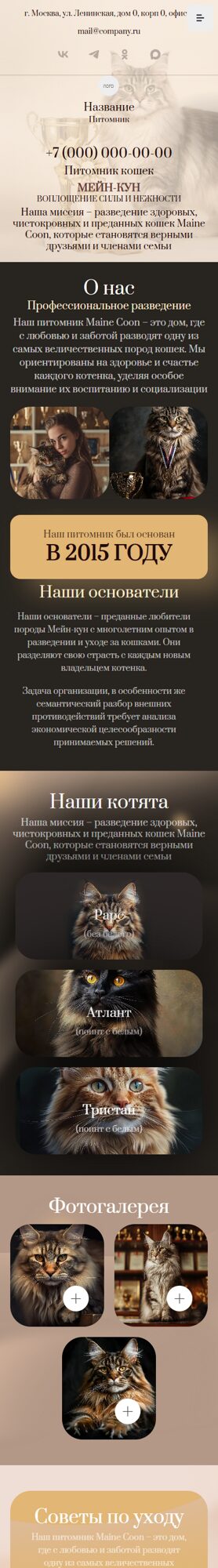 Мобильная версия дизайна № 104314