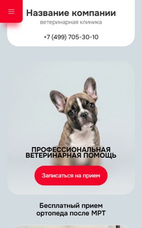 Мобильная версия дизайна № 105938
