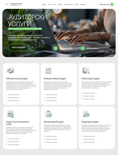 Готовый Сайт-Бизнес № 8902819 - Аудиторские услуги (Превью)