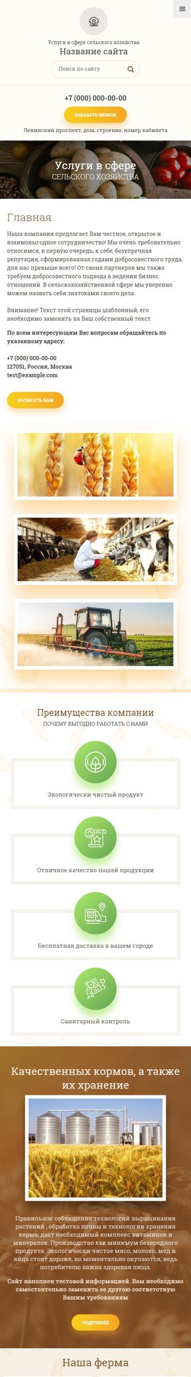 Мобильная версия дизайна № 80794