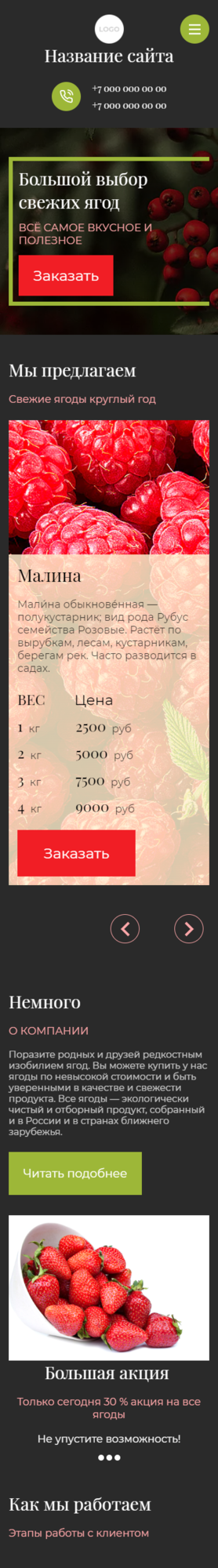 Готовый Сайт-Бизнес № 3599196 - Сайт для продажи ягод (Мобильная версия)