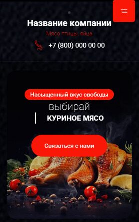 Готовый Сайт-Бизнес № 5134313 - Мясо птицы, яйцо, полуфабрикаты (Мобильная версия)