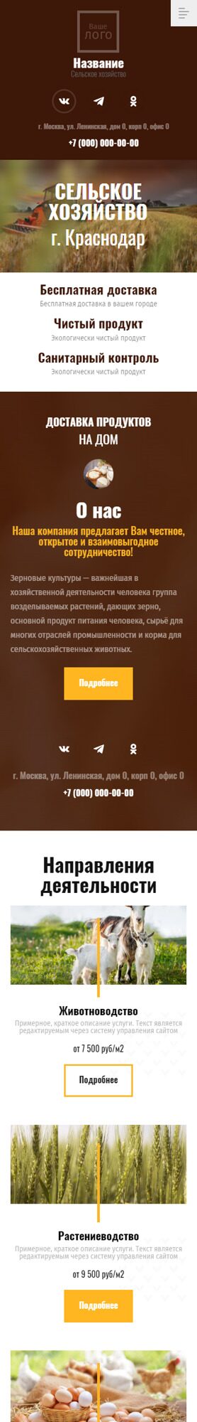 Мобильная версия дизайна № 96965