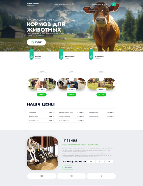 Дизайн № 97891