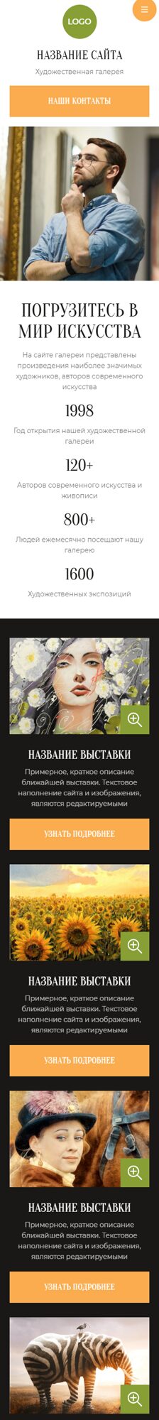 Мобильная версия дизайна № 103871