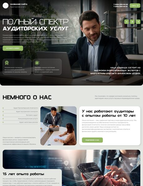 Готовый Сайт-Бизнес № 8496788 - Аудиторские услуги (Превью)